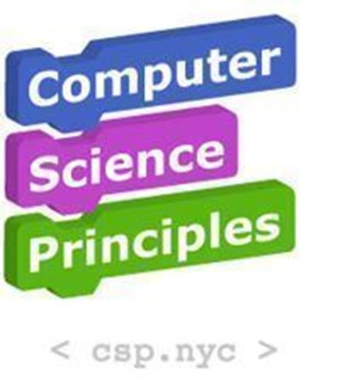 Picture of 2020 AP Computer Science Principles (JFK)